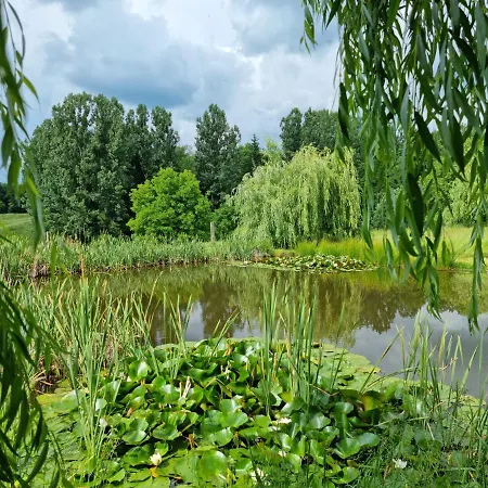 Langa Stana Curtea De Arges
